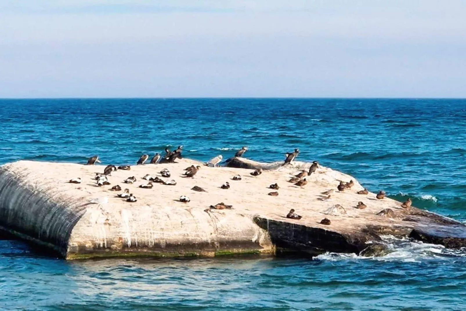 5 star holiday home in Skagen-By Traum