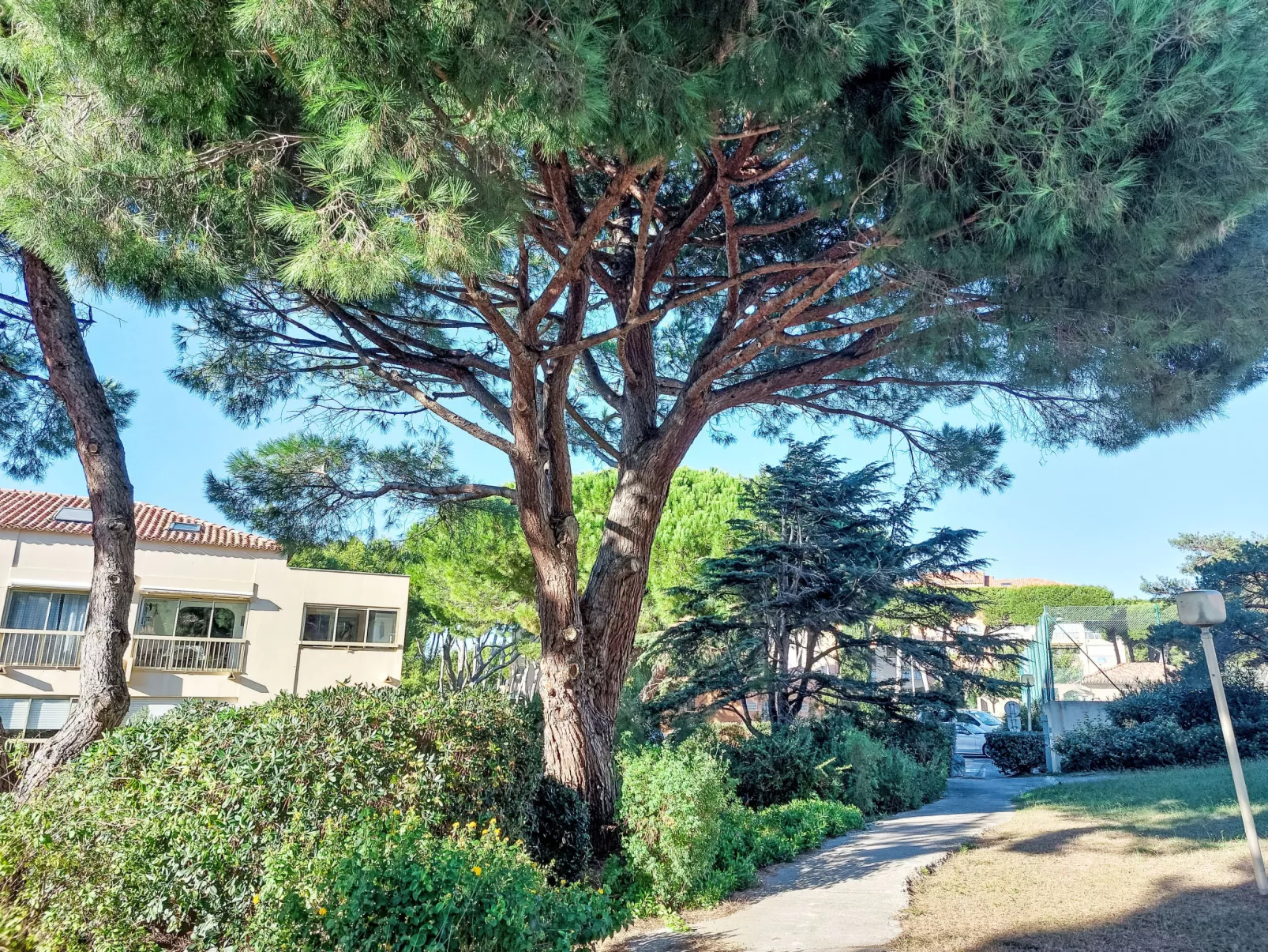 Les Marines d'Aryana-Outside