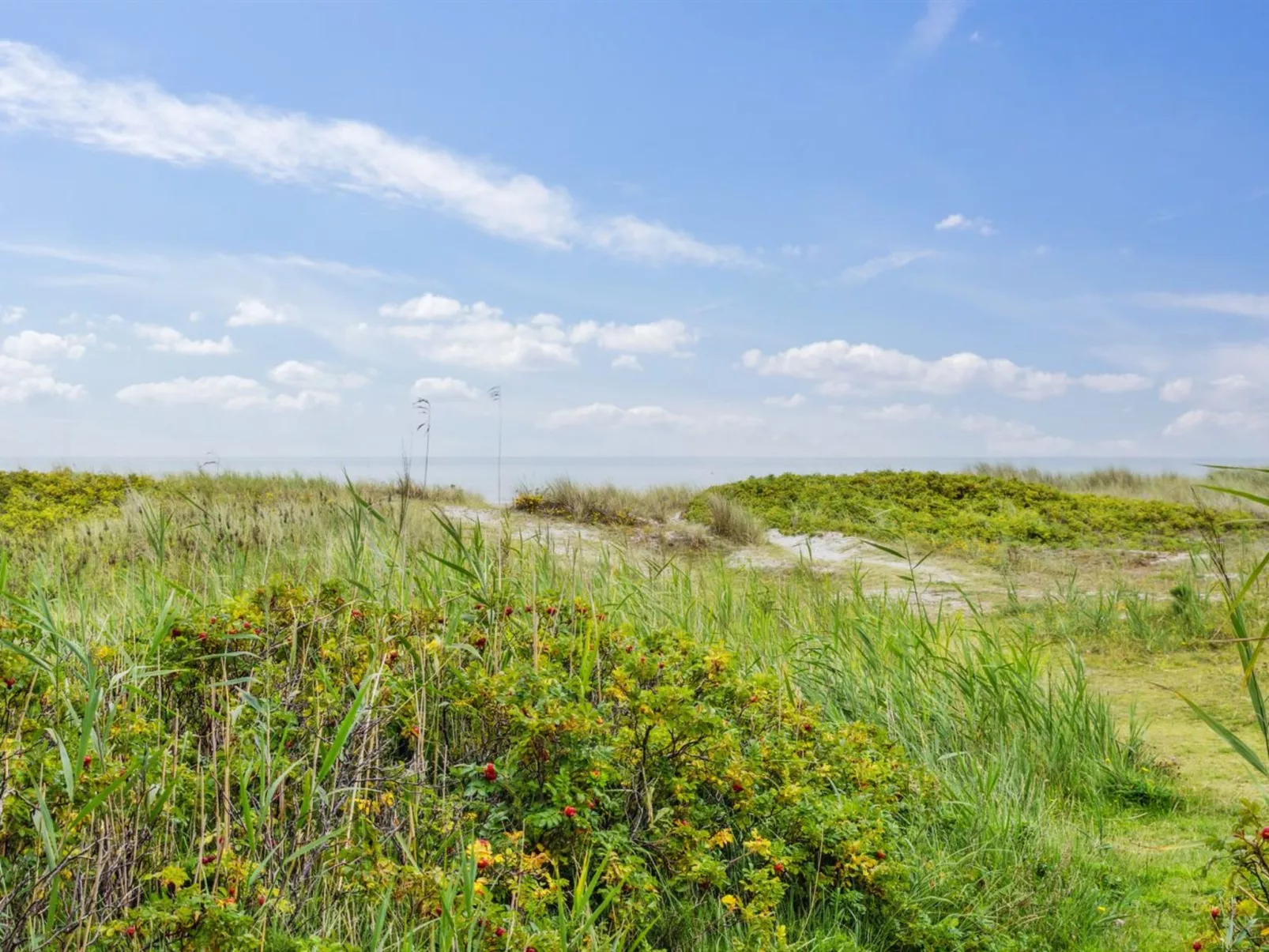 "Akseline" - 300m from the sea