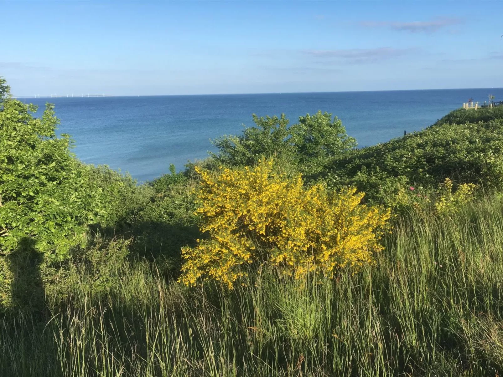 "Rikus" - 300m from the sea