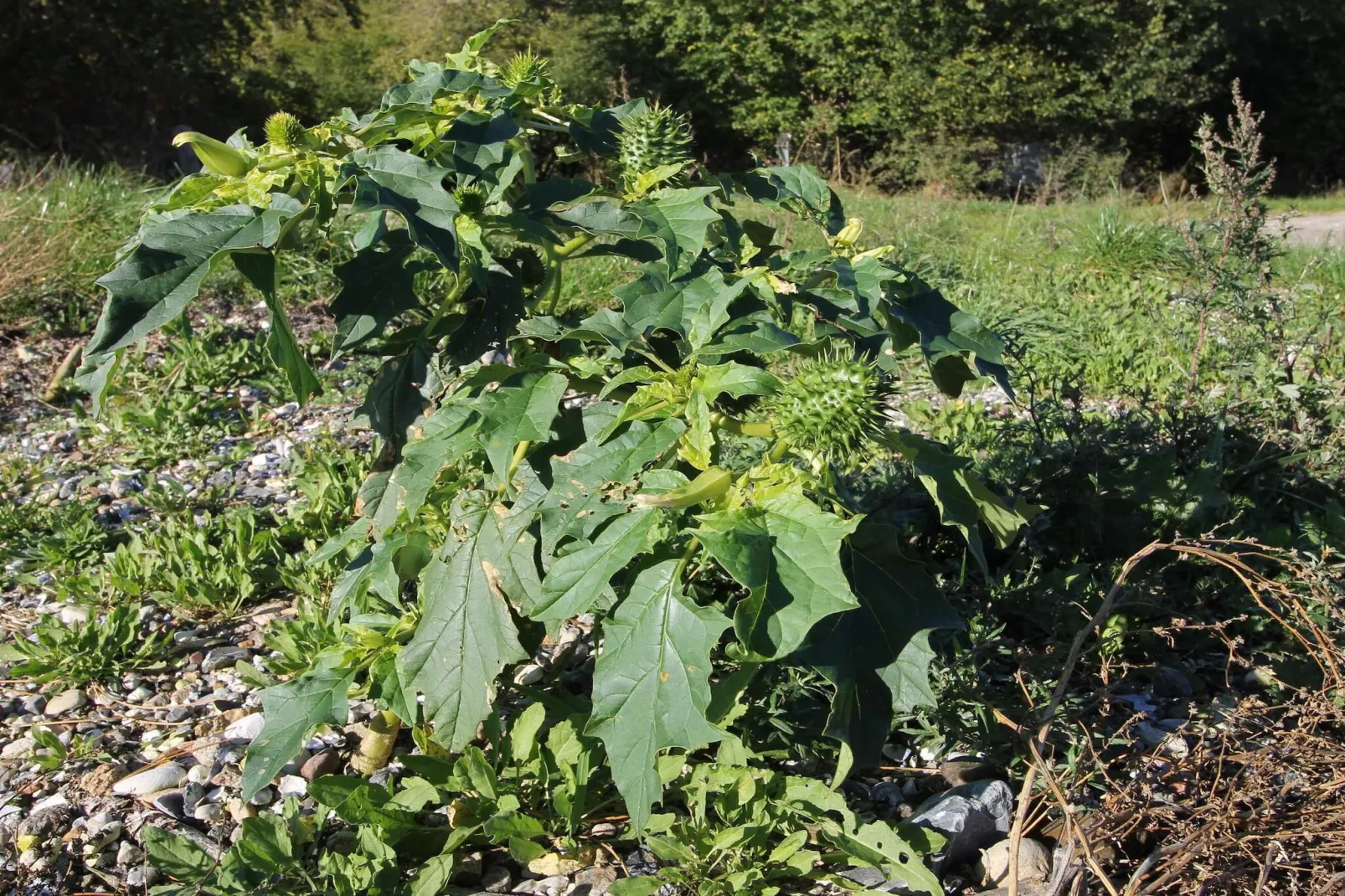 6 person holiday home in Skibby-By Traum-Untagged