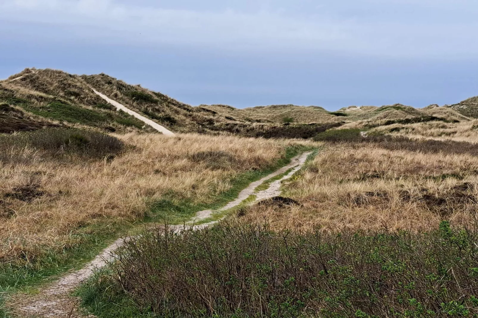 Spacious Retreat for 20 - By Traum Ferienwohnungen-Untagged