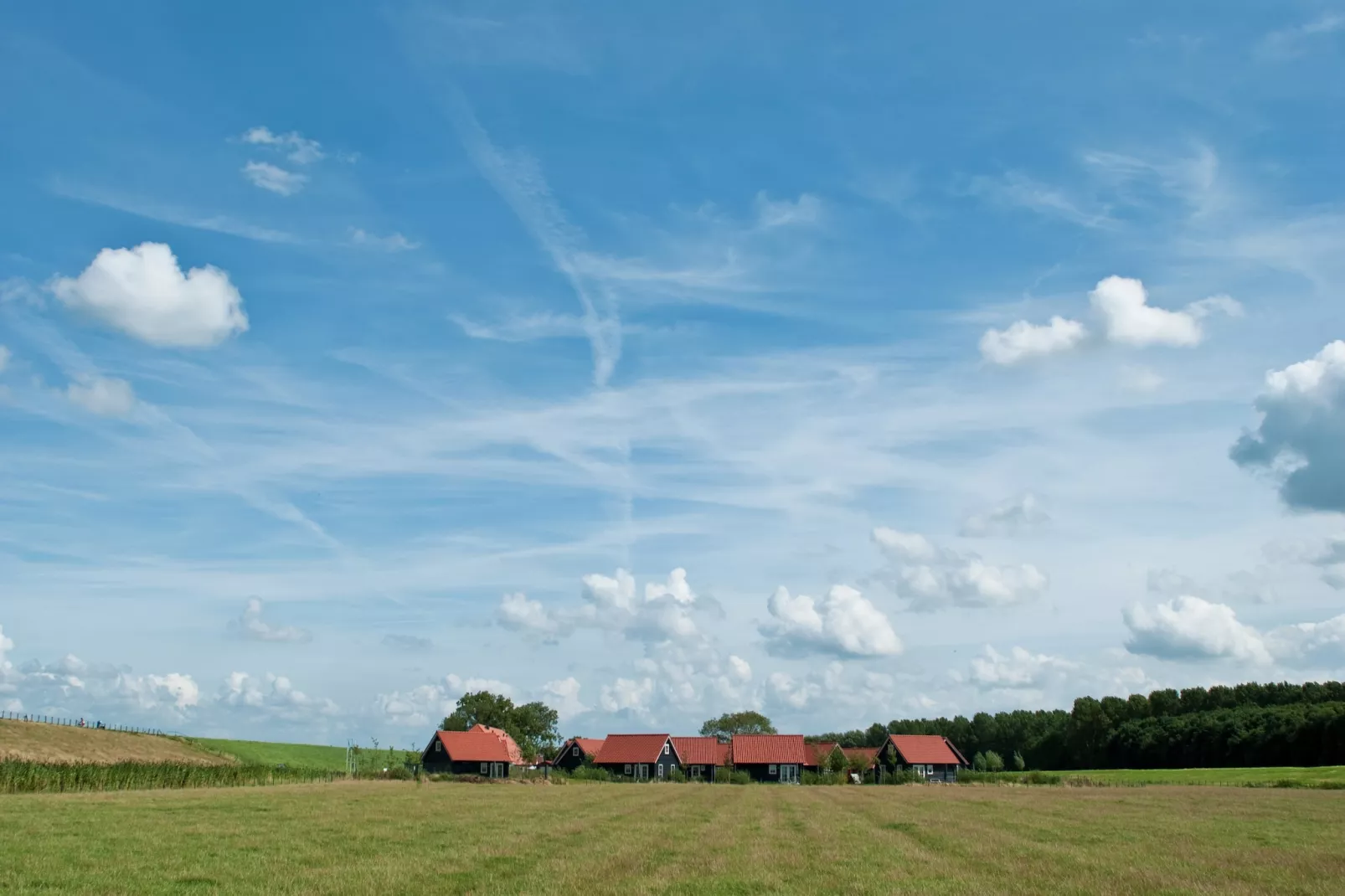 Recreatiepark de Stelhoeve 3-Gebiete Sommer 1 km