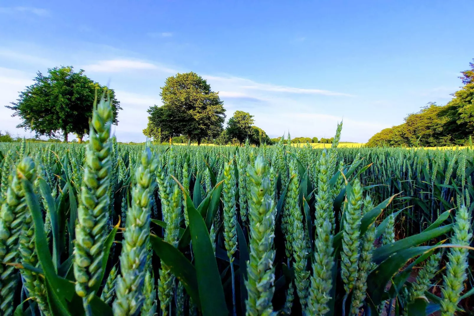 4 Personen Ferienhaus in Borre-By Traum-Nicht zugeordnet