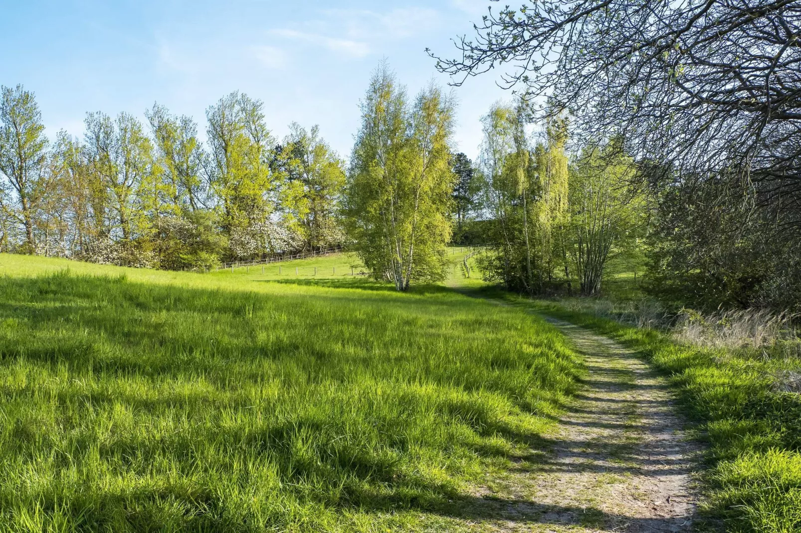 6 person holiday home in Frederiksværk-By Traum-Outdoor