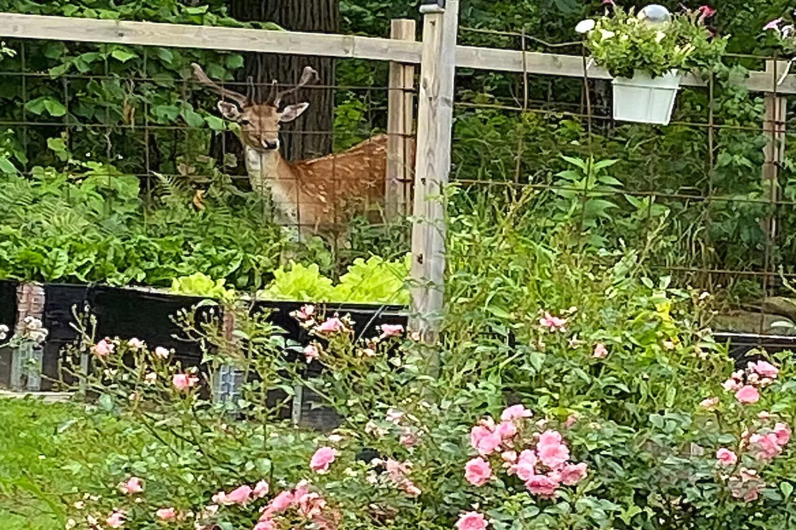 6 person holiday home in HÄLLEKIS-Outdoor