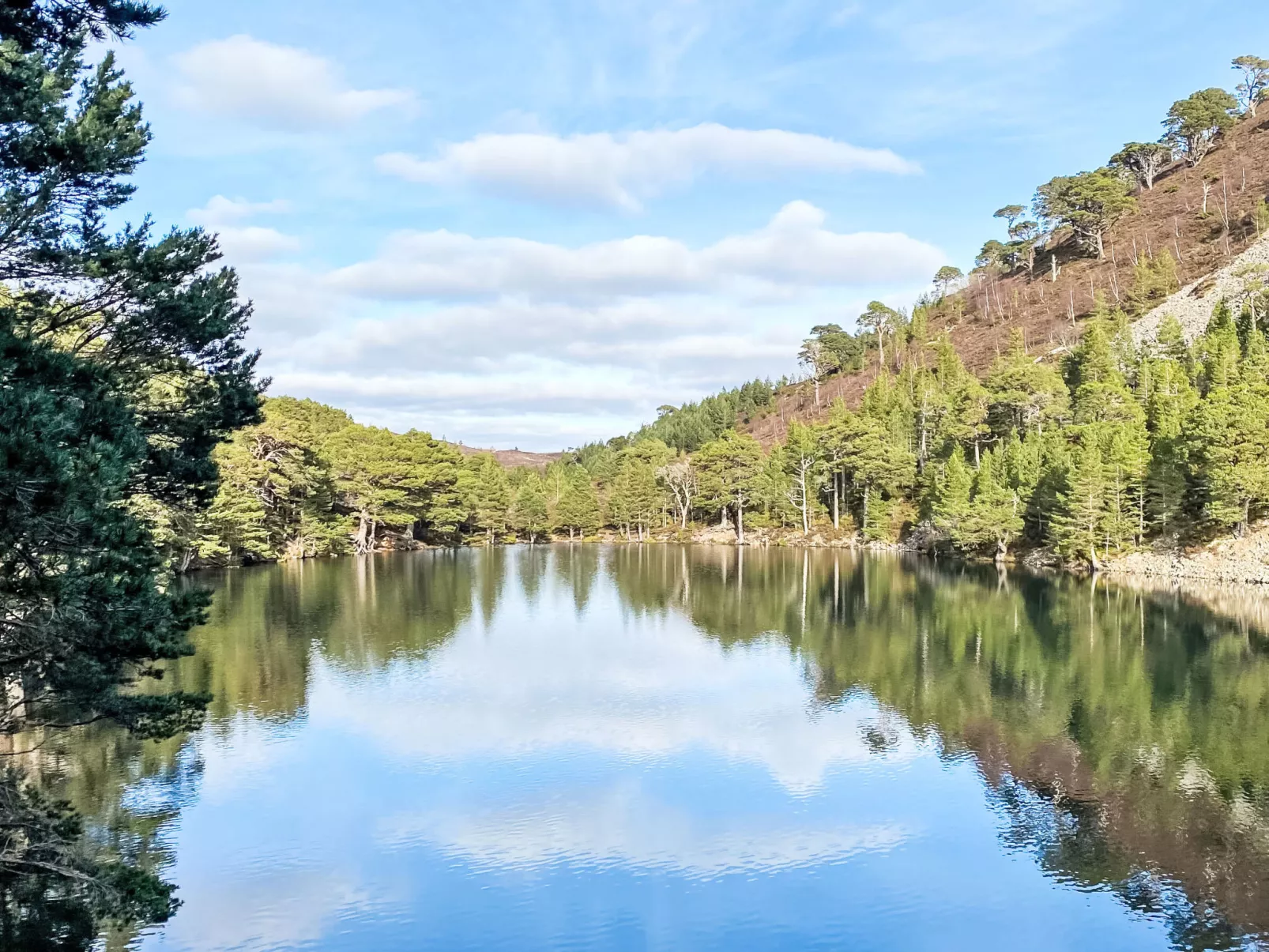 The Bruach-Environnement