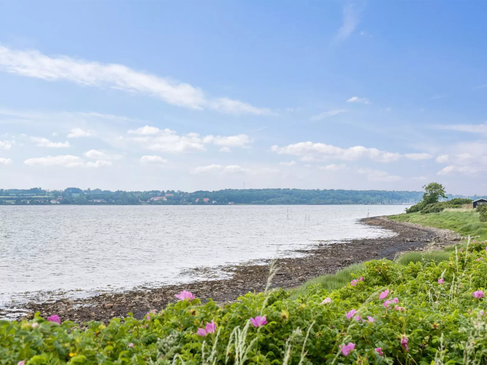 "Benni" - 120m to the fjord