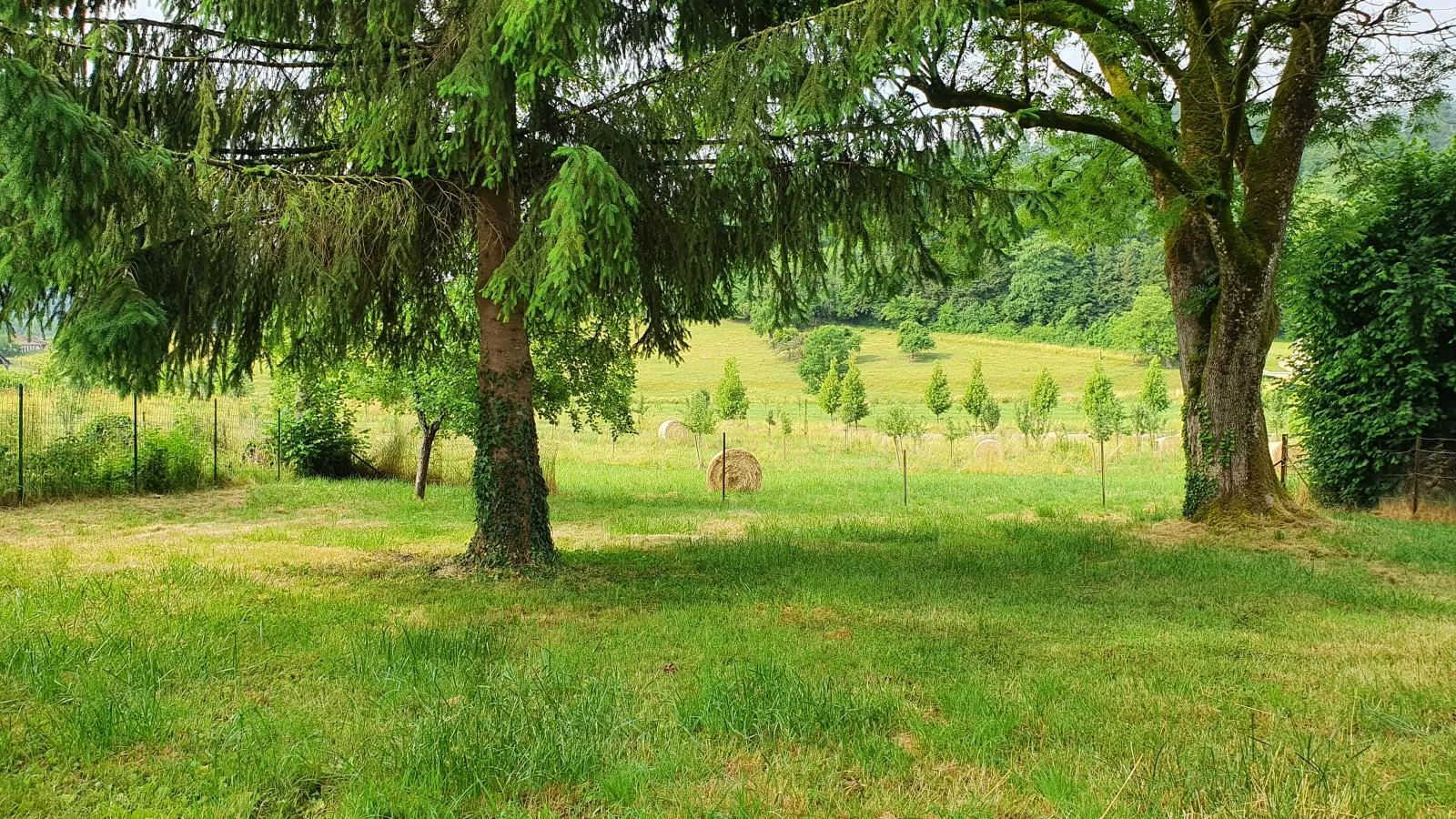 Gite du Verger-Gärten Sommer