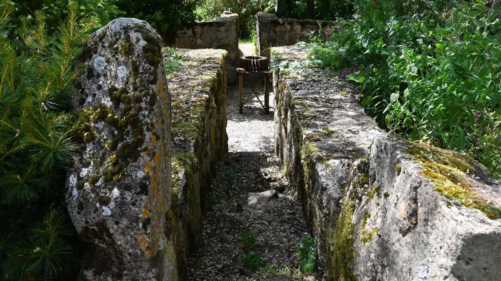 Jardins Fleuries-Jardins en été