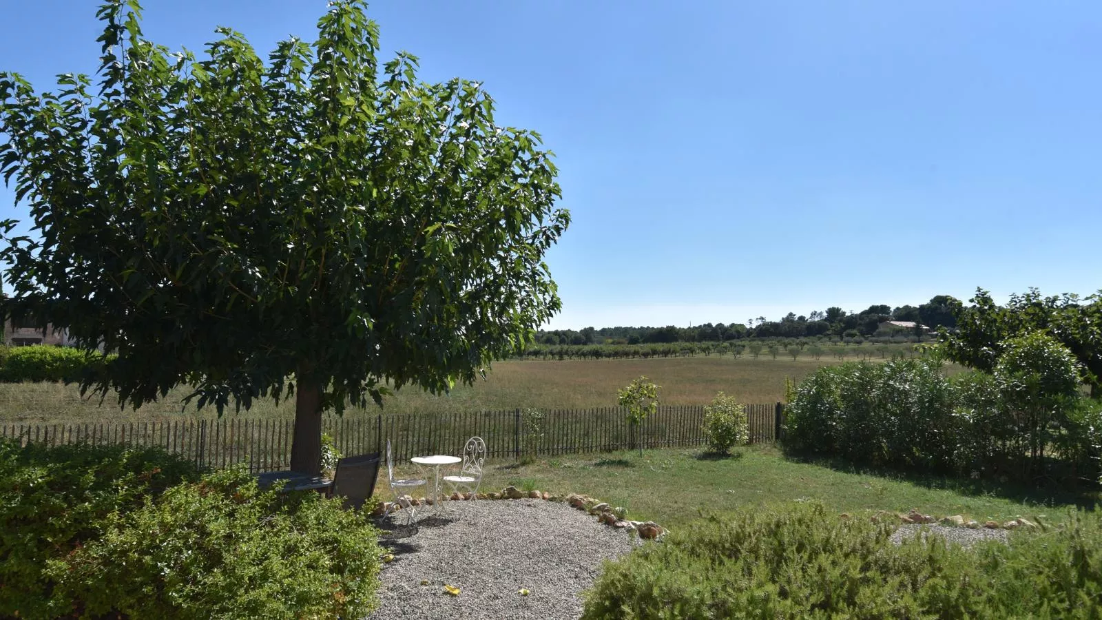 La petite truffe-Vue d'été