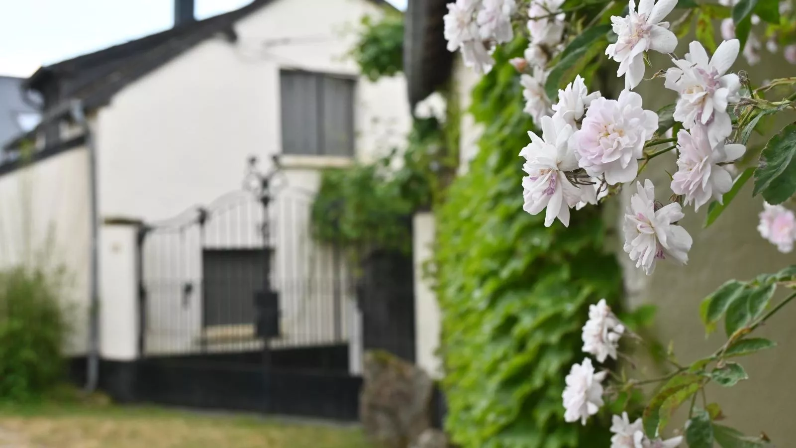 Jardins Fleuries-Ambiance