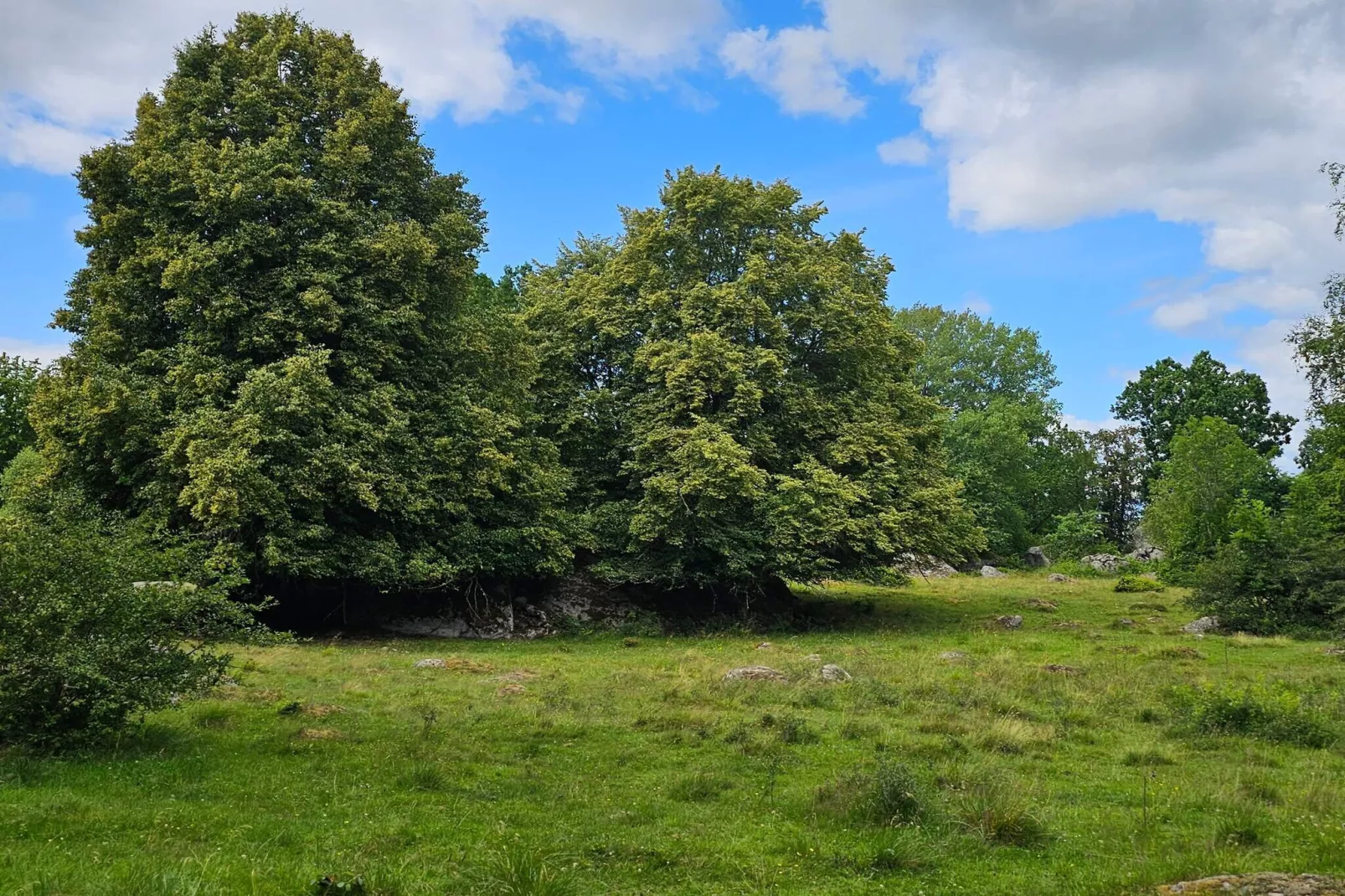 4 star holiday home in KARLSKRONA-Untagged