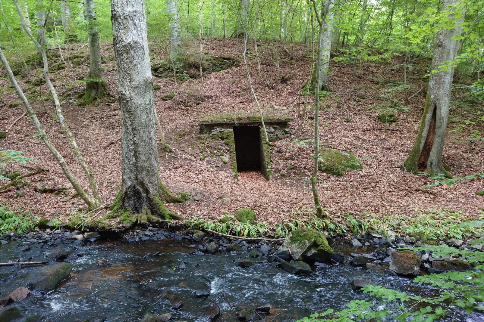 4 etoiles maison de vacances a Gärsnäs-Non tagué