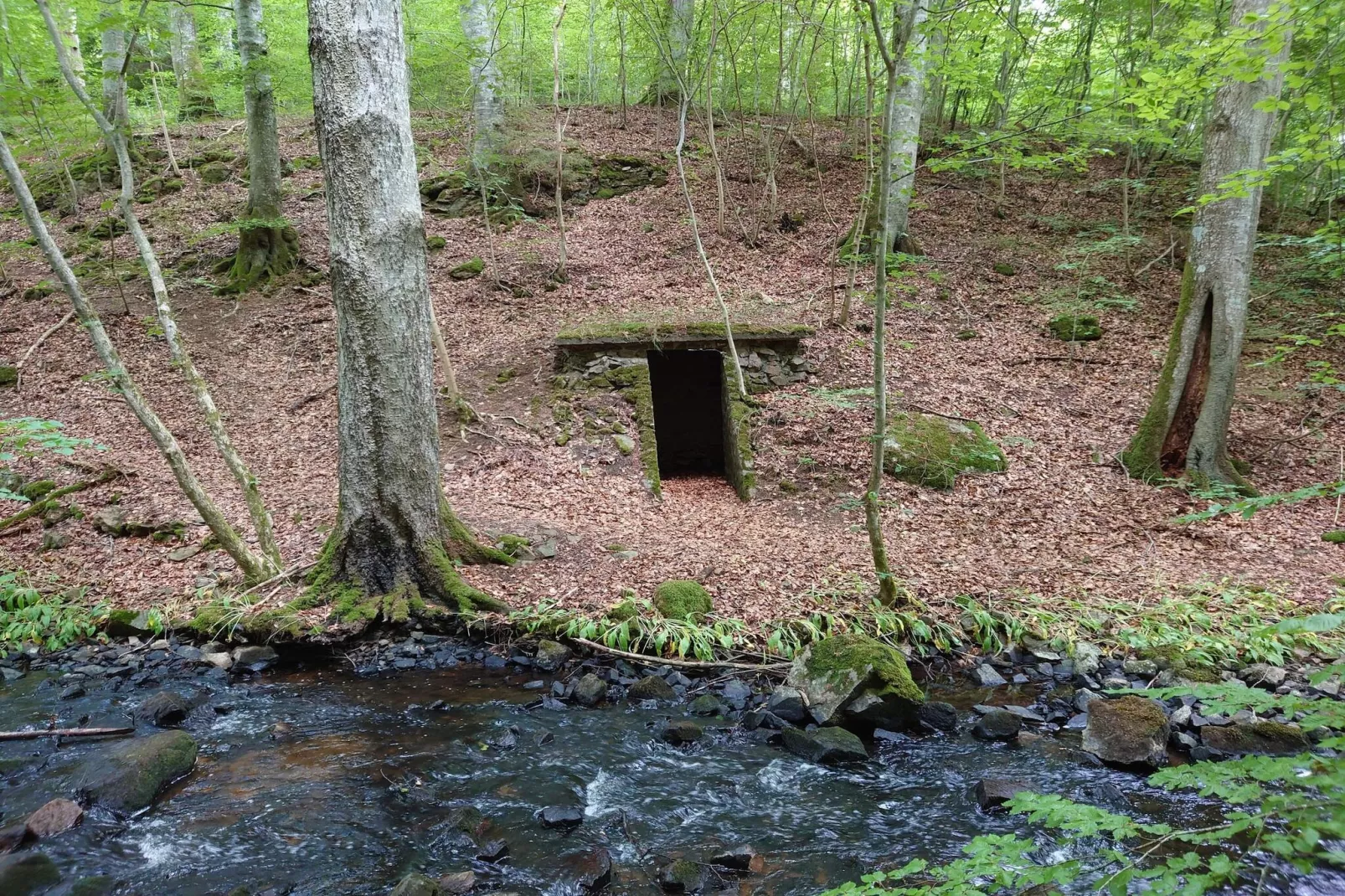 4 star holiday home in Gärsnäs-Untagged