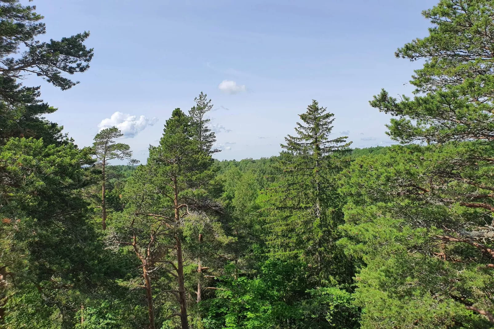 4 Personen Ferienhaus in DALS ROSTOCK-Nicht zugeordnet