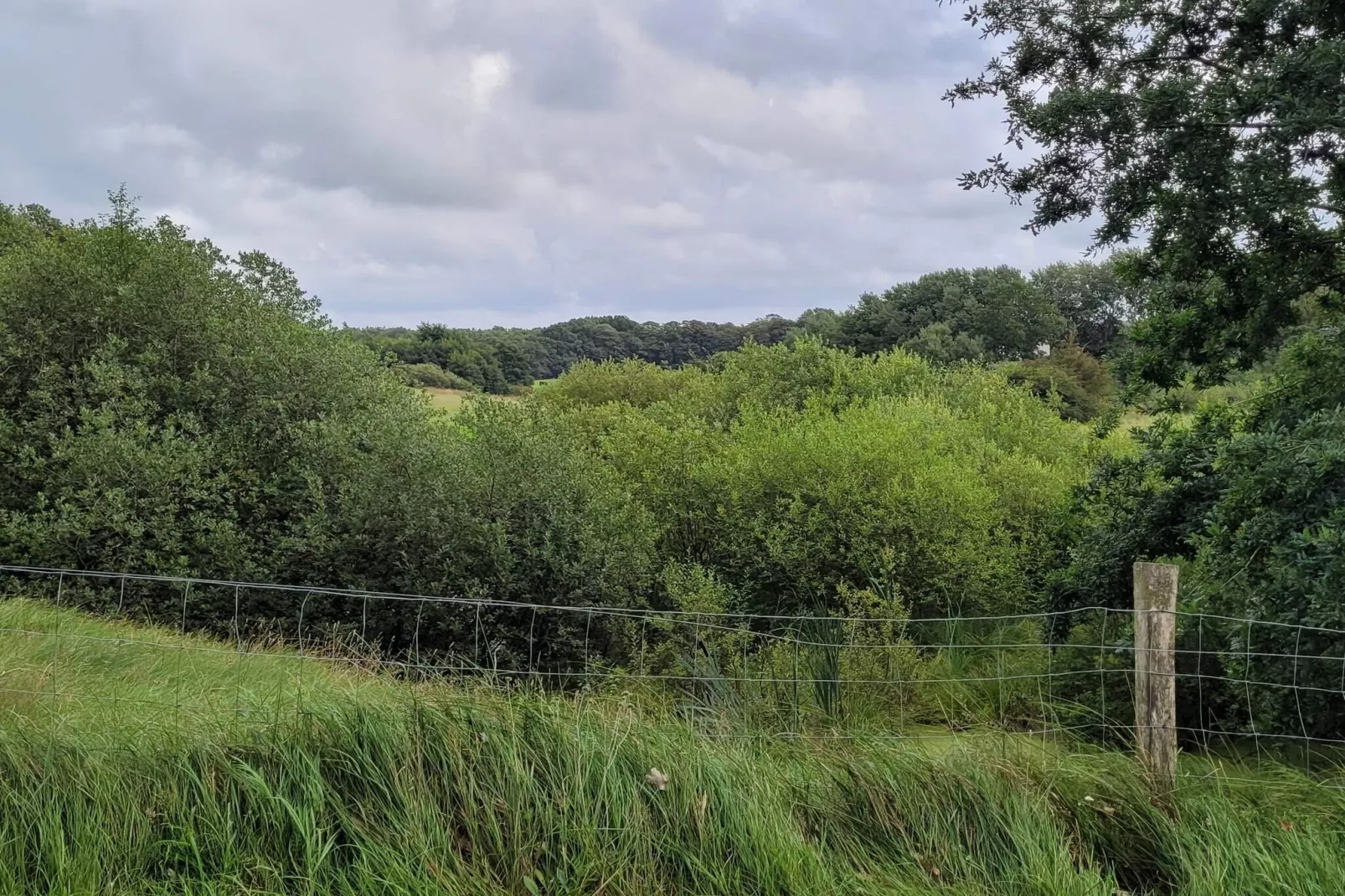 4 Sterne Ferienhaus in Hovborg-By Traum