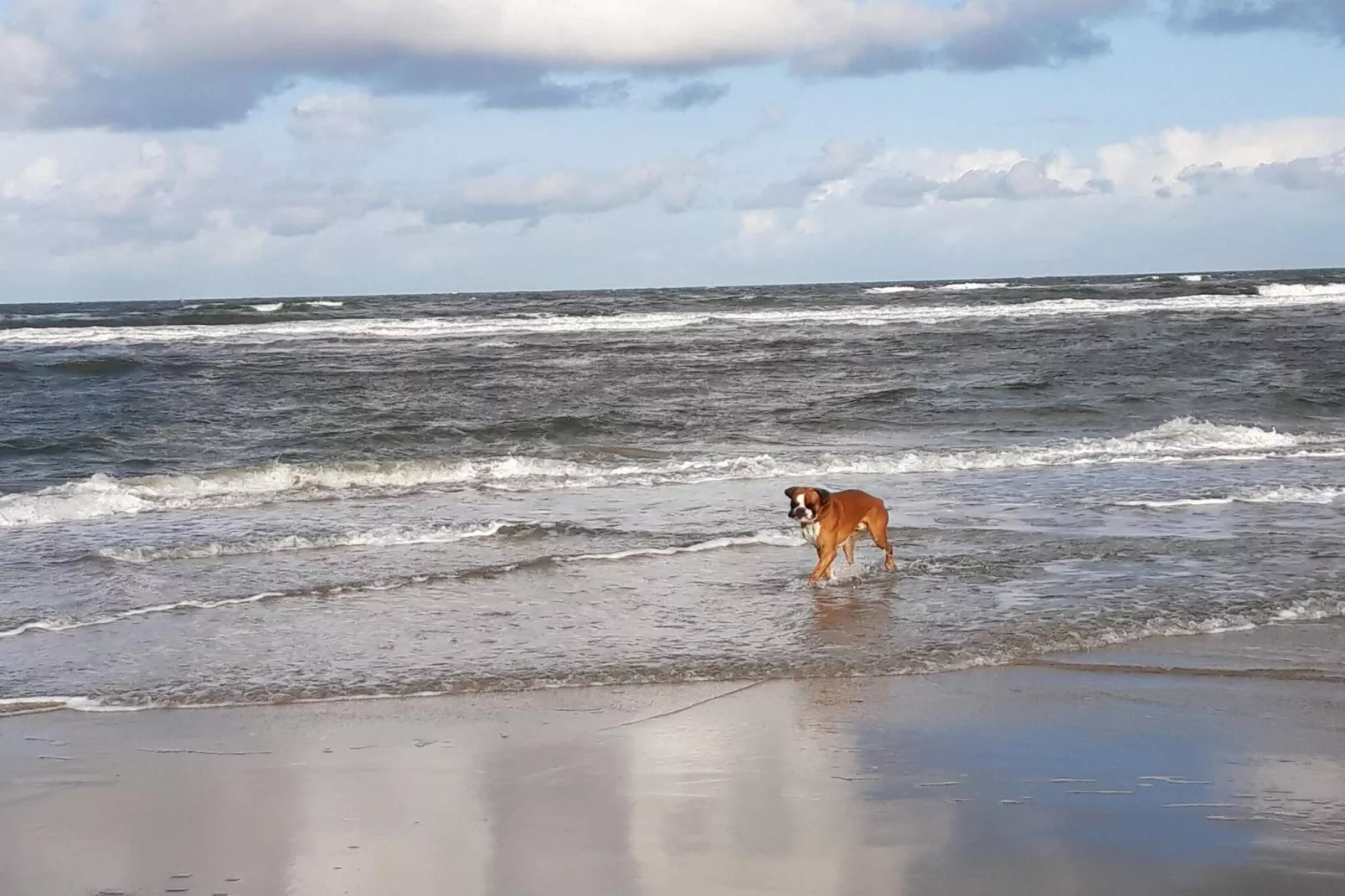 Retraite de luxe a Romo -- By Traum Ferienwohnungen-Vue sur l'eau