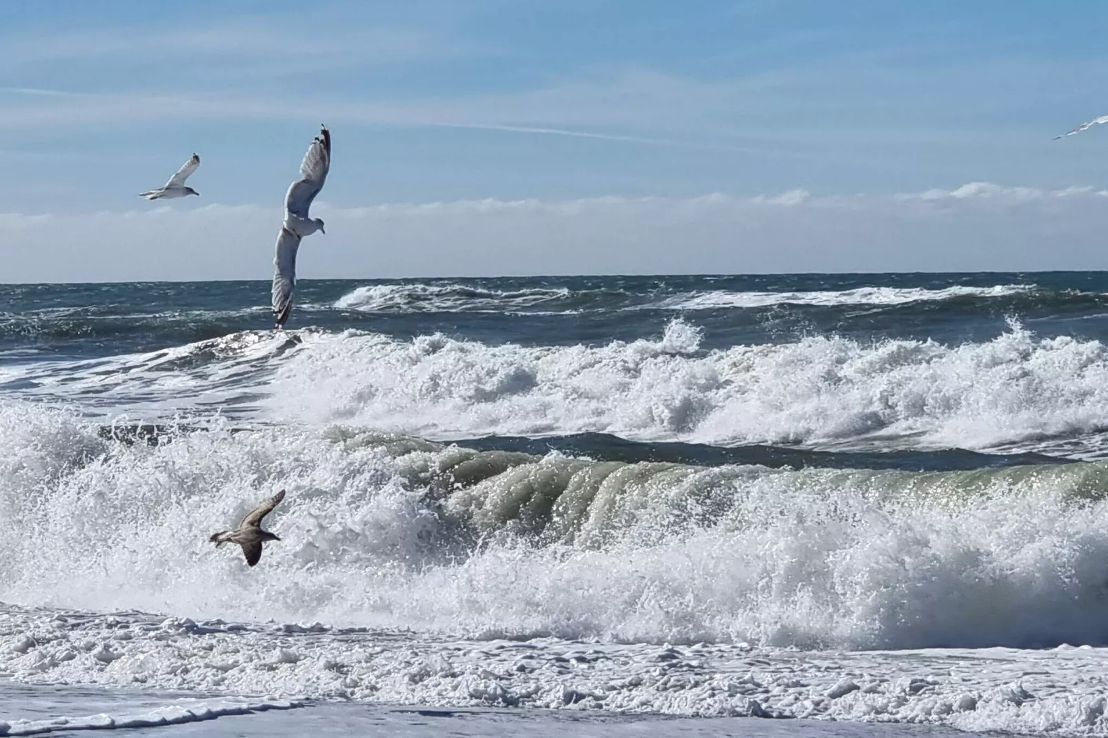 4 Sterne Ferienhaus in Harboøre-Wasserblick