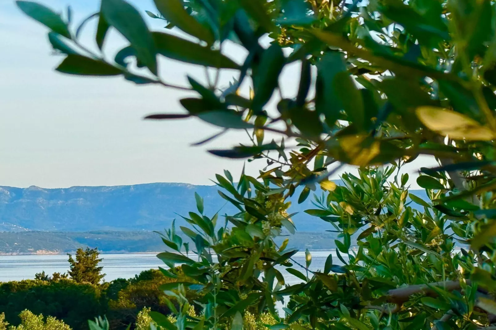 Holiday Home Oliva - Holiday House with Terrace and Sea View-Ambiente