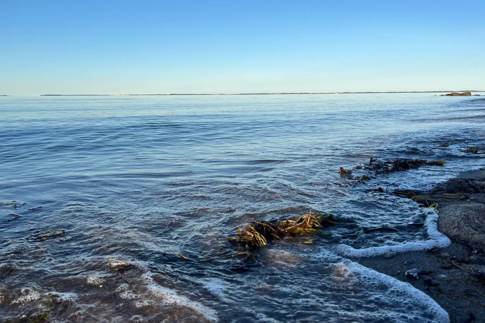 Luxus-Ruckzugsort am Hasmark -- By Traum Ferienwohnungen