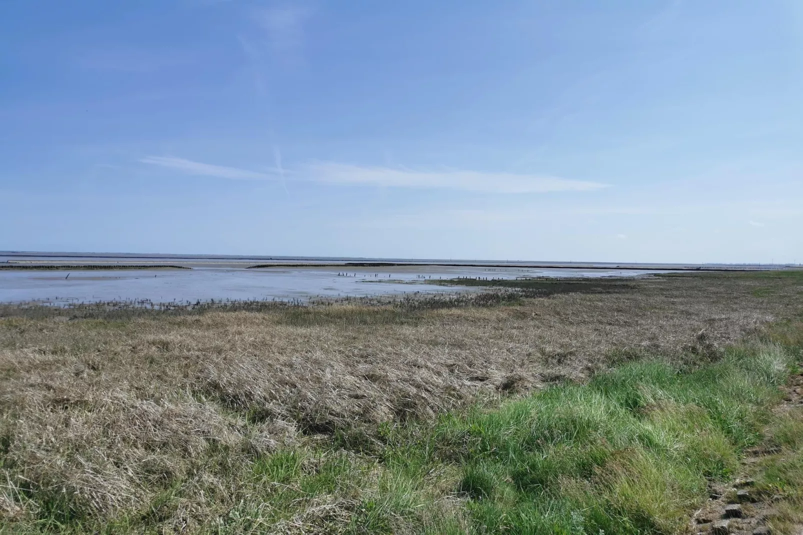 Doppelhaushälfte Wattwurm 34-Gebiete Sommer 5 km