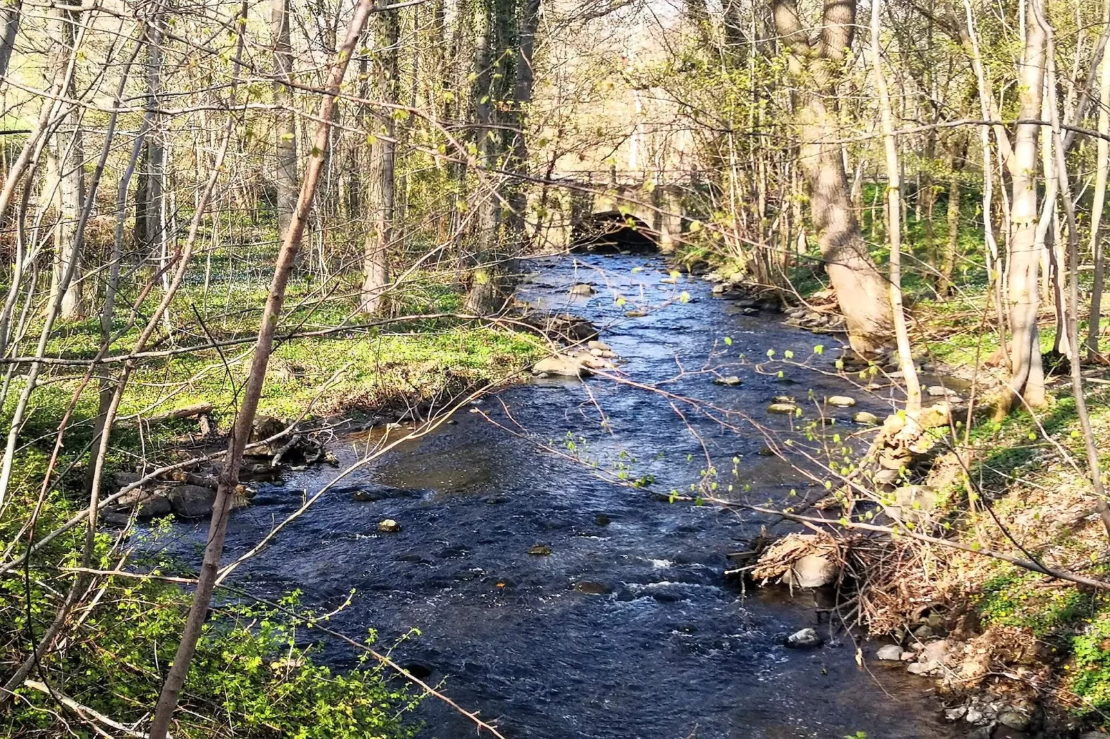 5 star holiday home in Faaborg-Water view