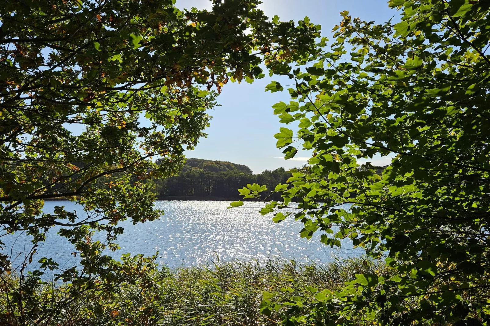 Maison de vacances pour 4 a Haderslev