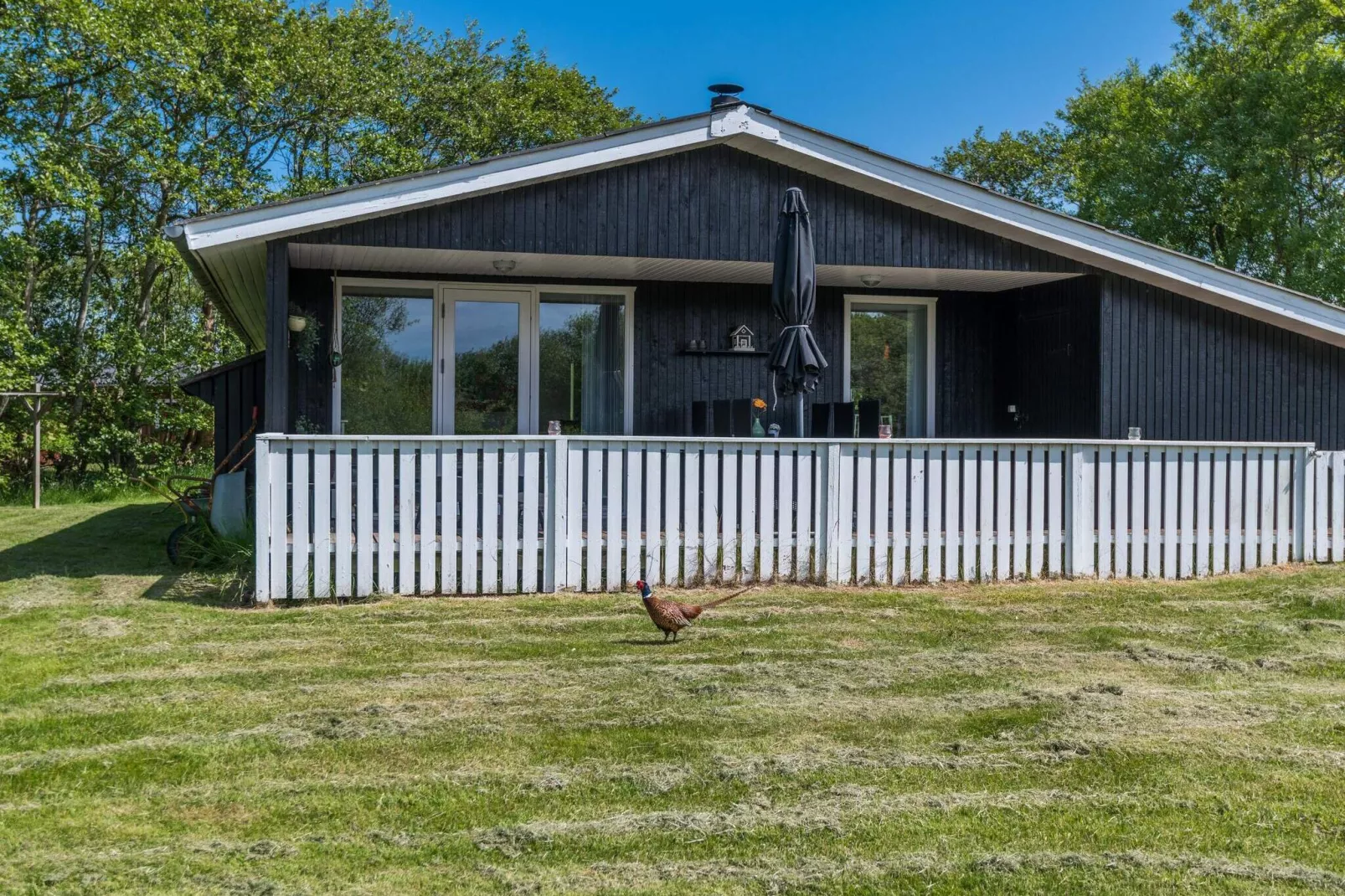 5 Personen Ferienhaus in Fanø-Im Freien