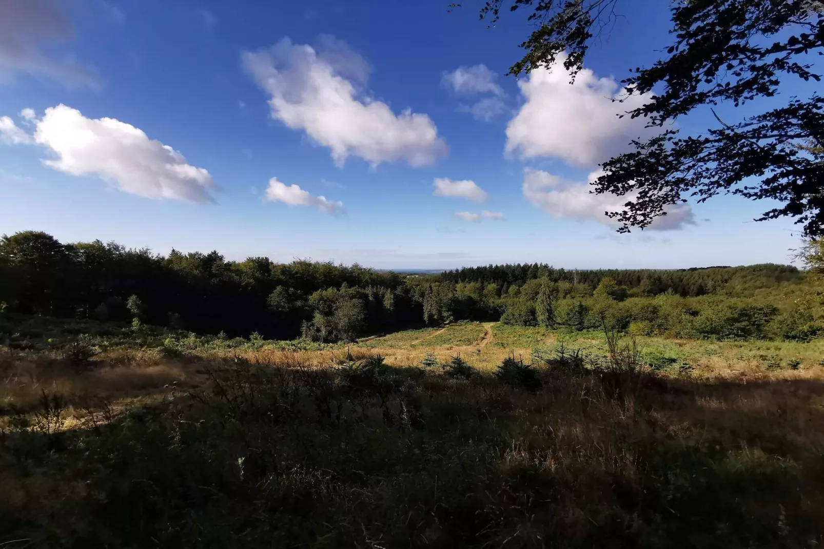 Well-maintained holiday home in Faborg