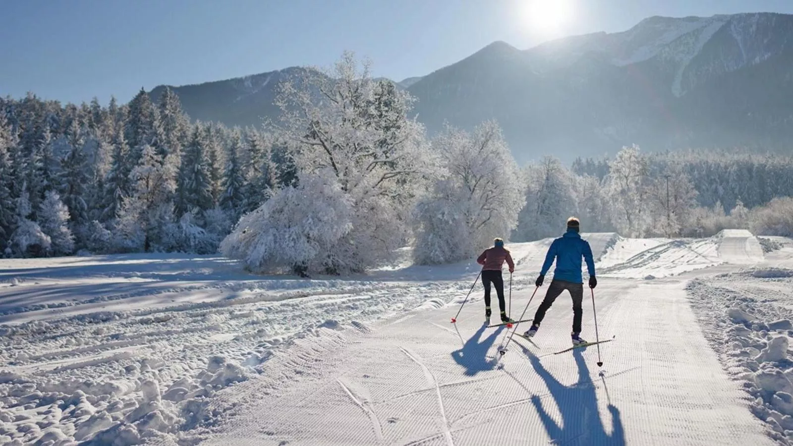 Landhaus zur Sonne-Area within 20km in winter