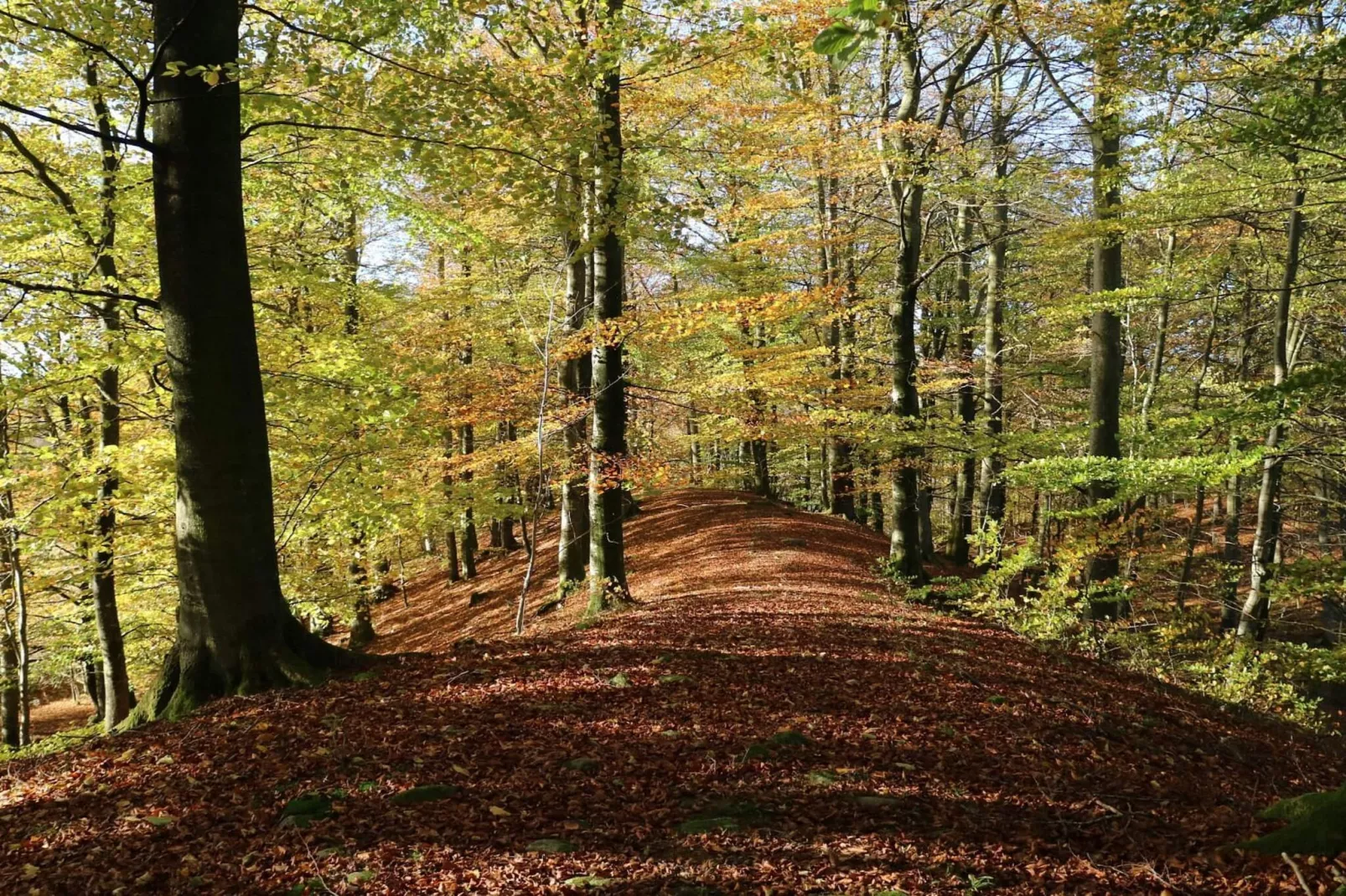 4 person holiday home in Hoor-Untagged