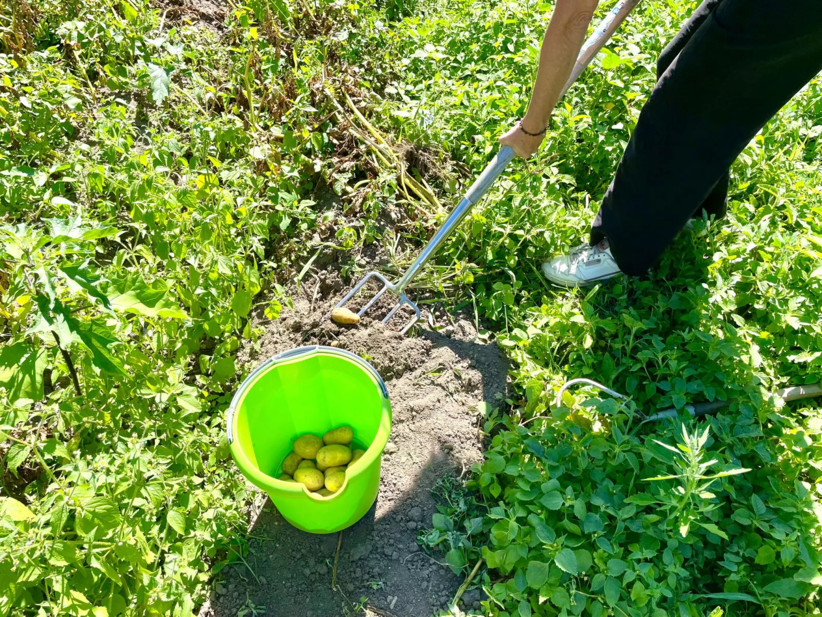 Glamping in der Orangerie-Draußen