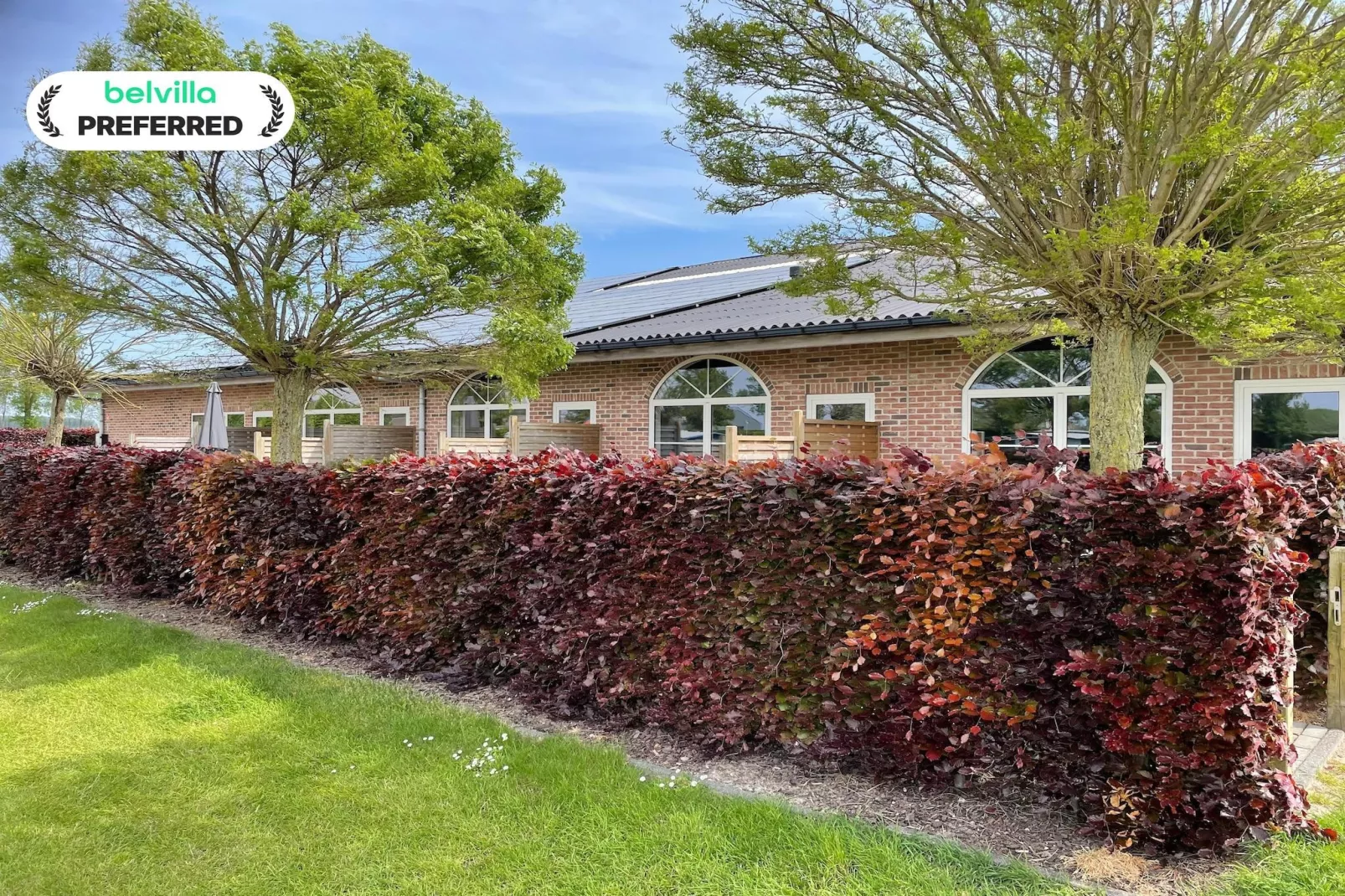 Het Platte Putje - Huisdier - nr1