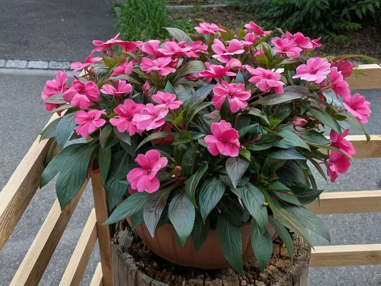 Arlinn Apartment-Dedans