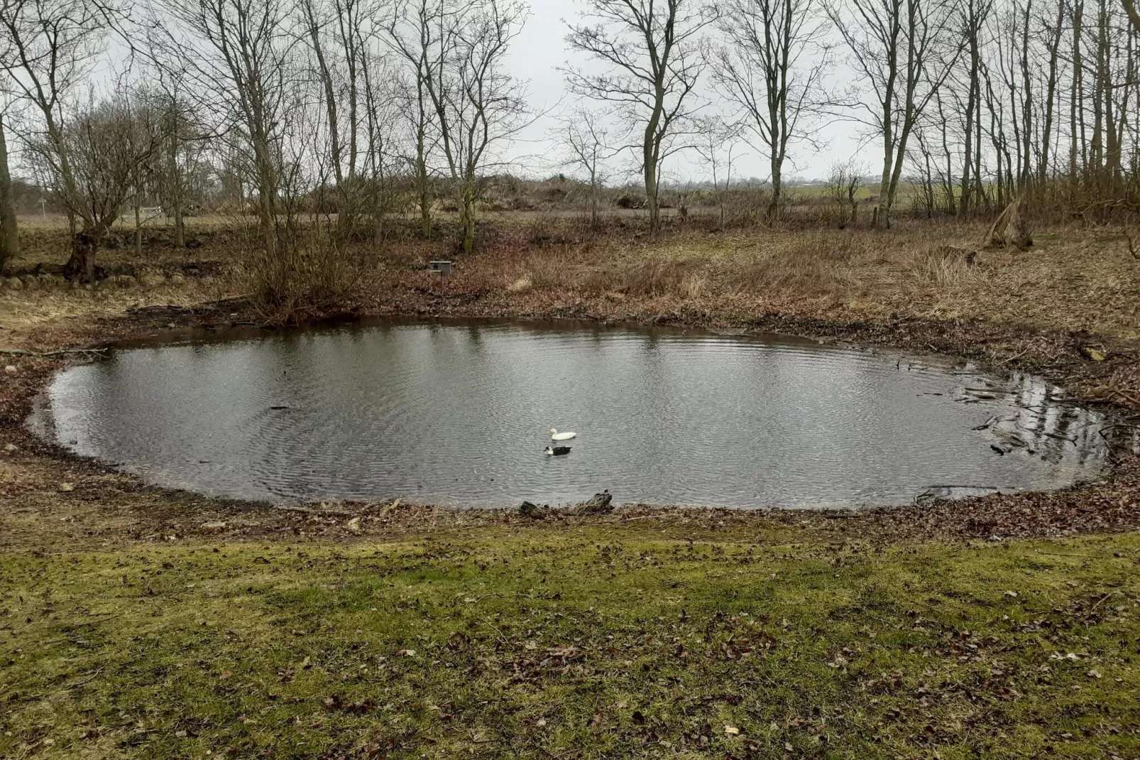 Ferienhaus Petersdorf 4 P-Zones été à 5 km