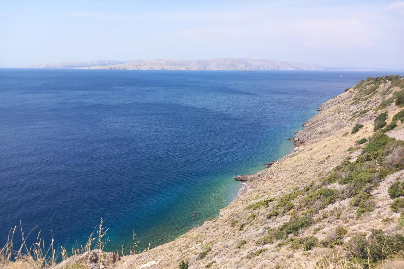 Niko 3-Areas within 1km in summer