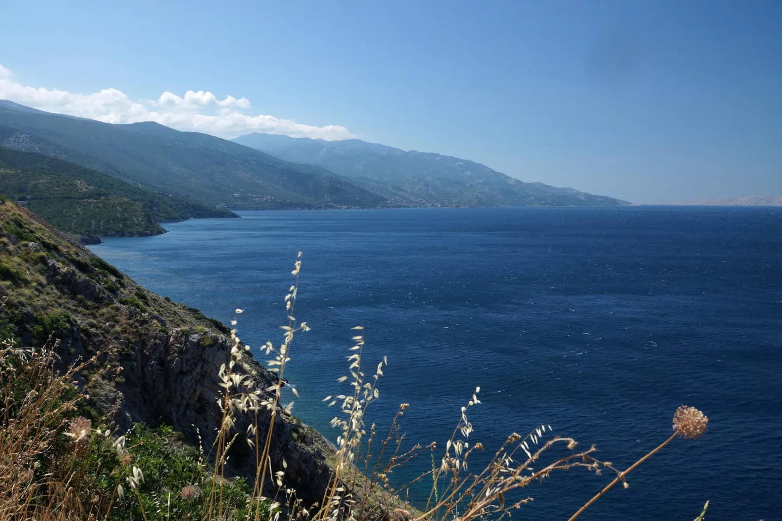 Niko 1-Gebiete Sommer 1 km