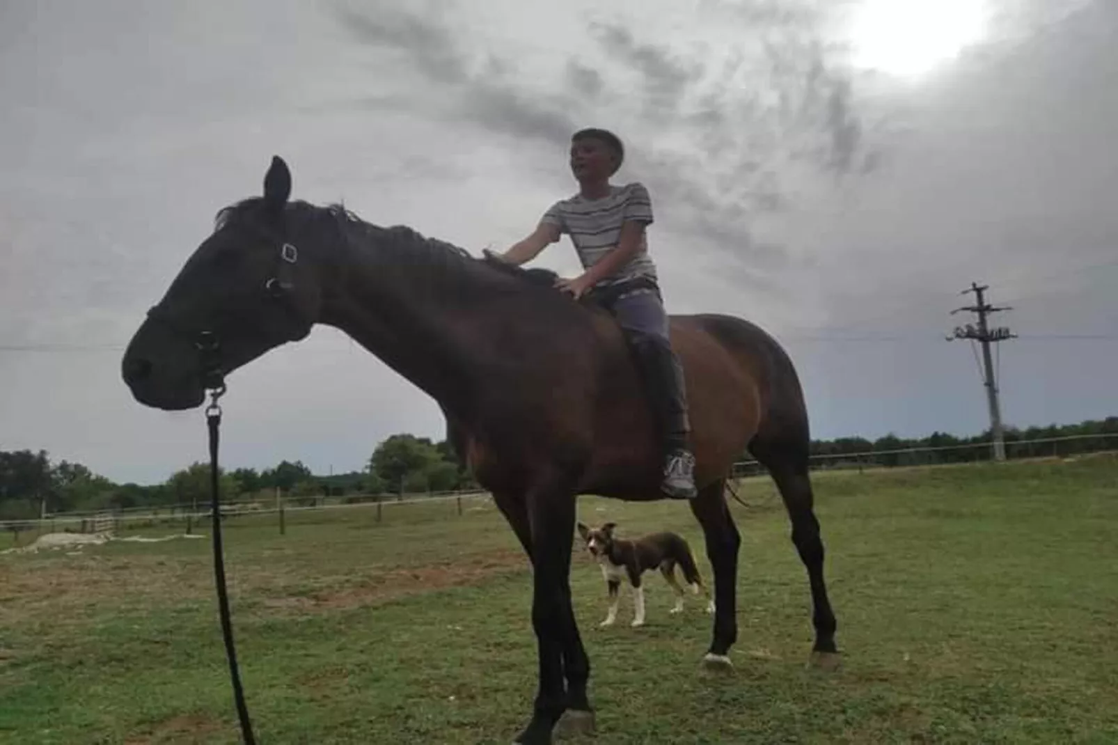 Apartment Mirna with Pool and Lovely Garden-Zones été à 20 km