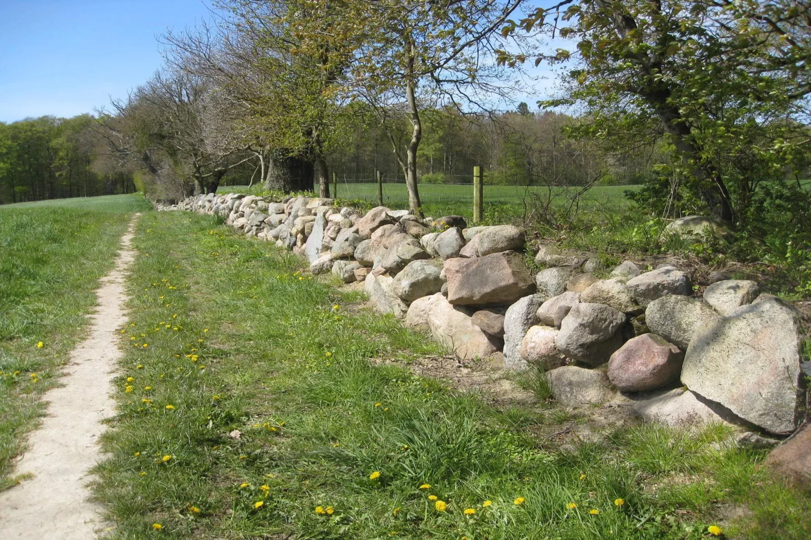 Beautiful cottage near the beach-Untagged