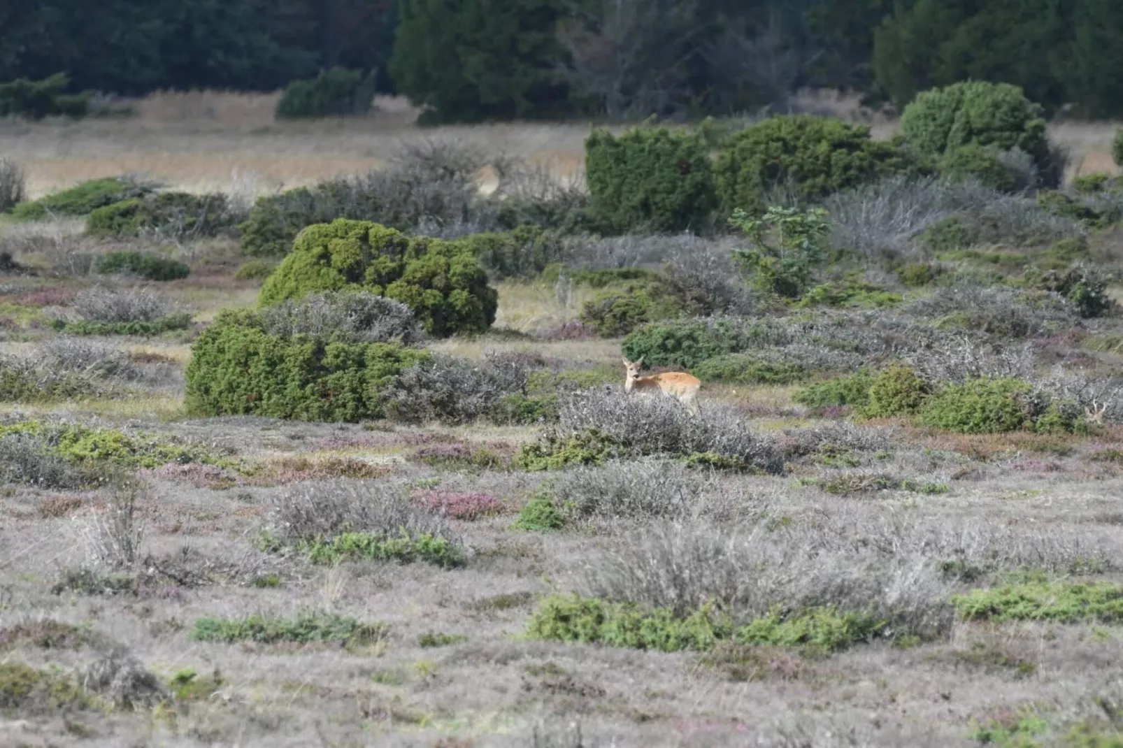 5 Sterne Ferienhaus in Hadsund-Nicht zugeordnet
