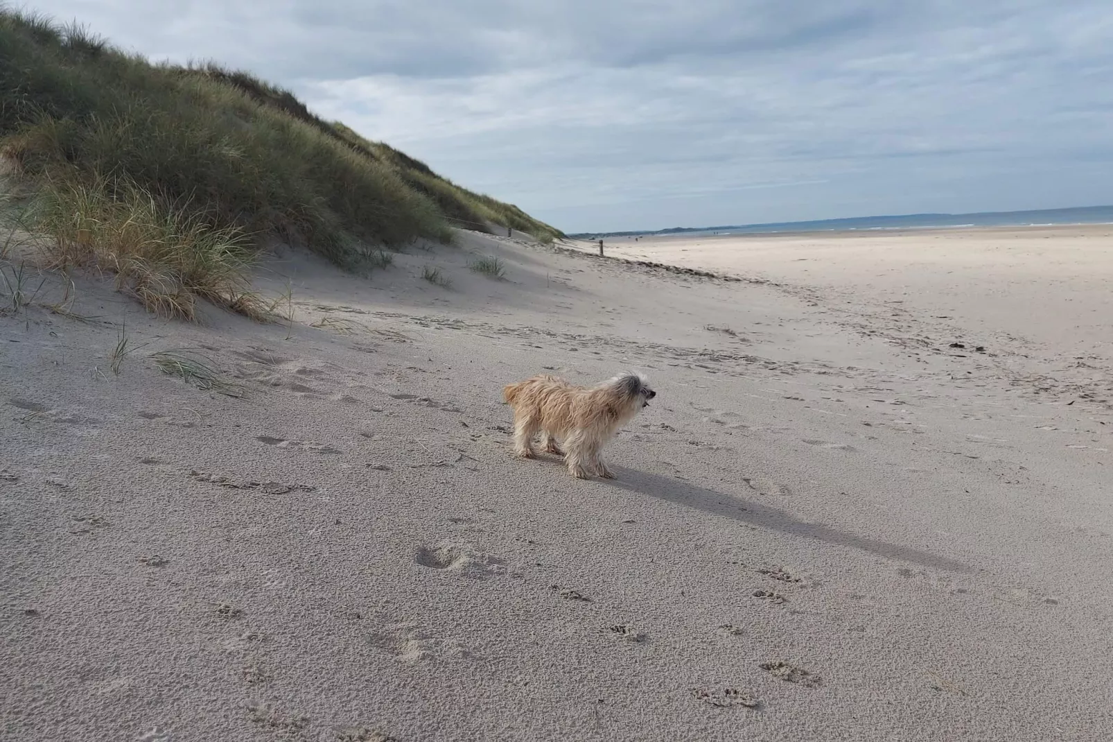 Maison de vacances pour 6 a Pandrup-Extérieur