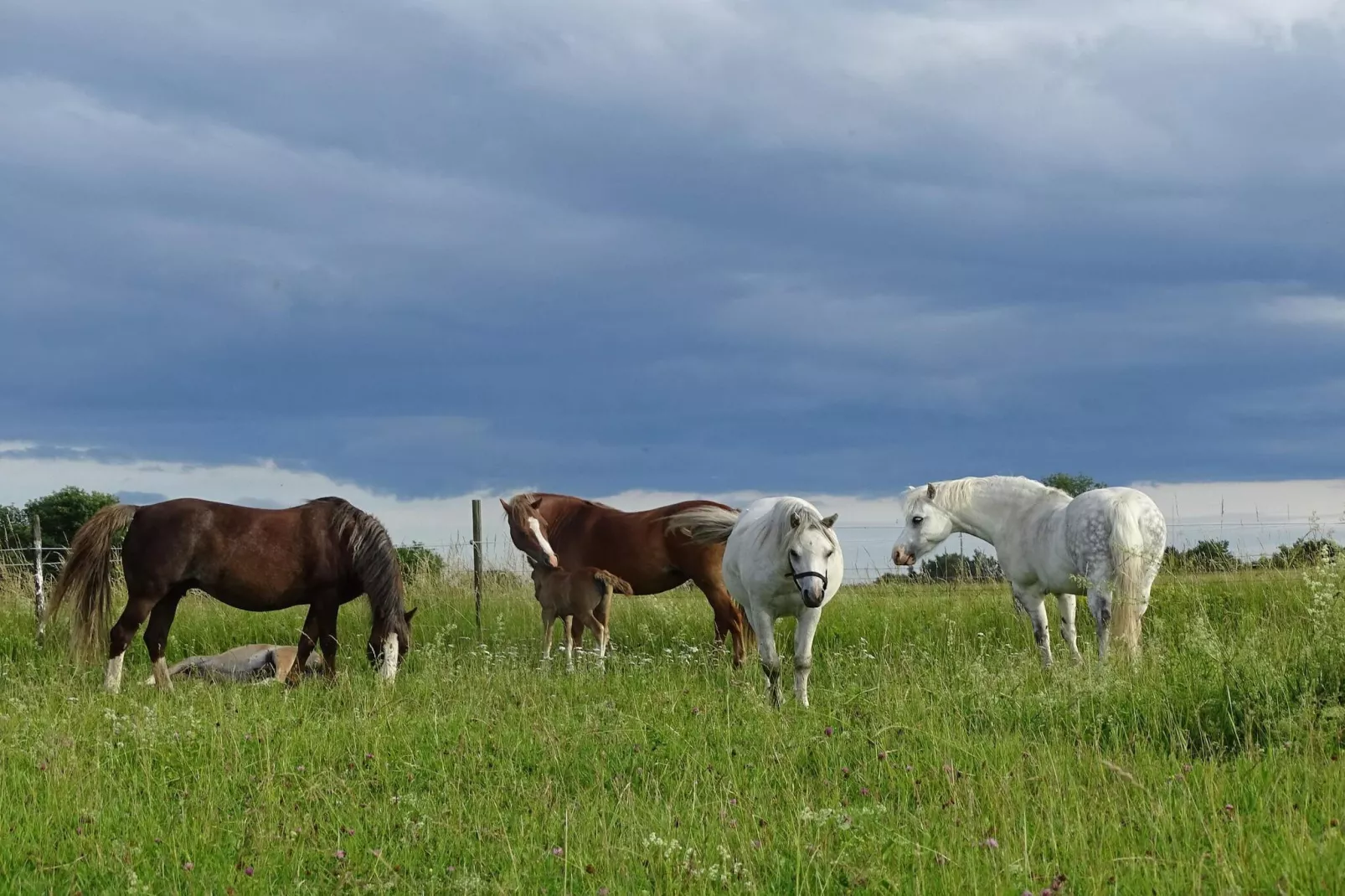 2 person holiday home in FäRENTUNA-Untagged