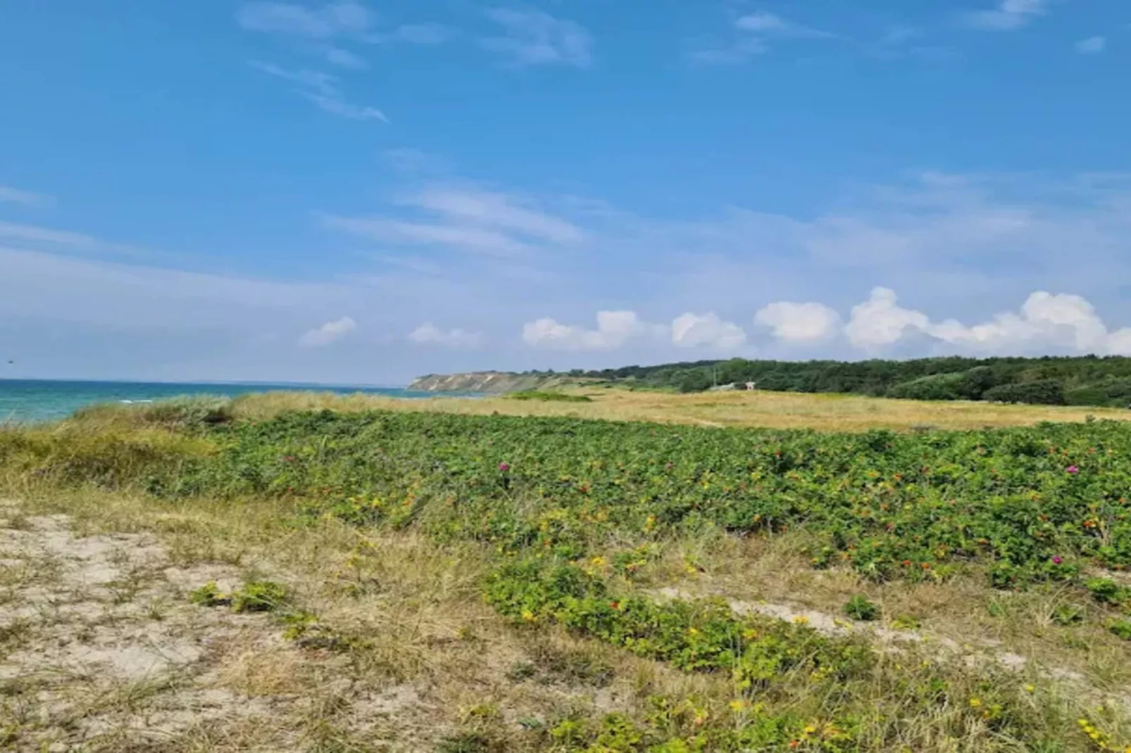 5 star holiday home in Humble-Untagged