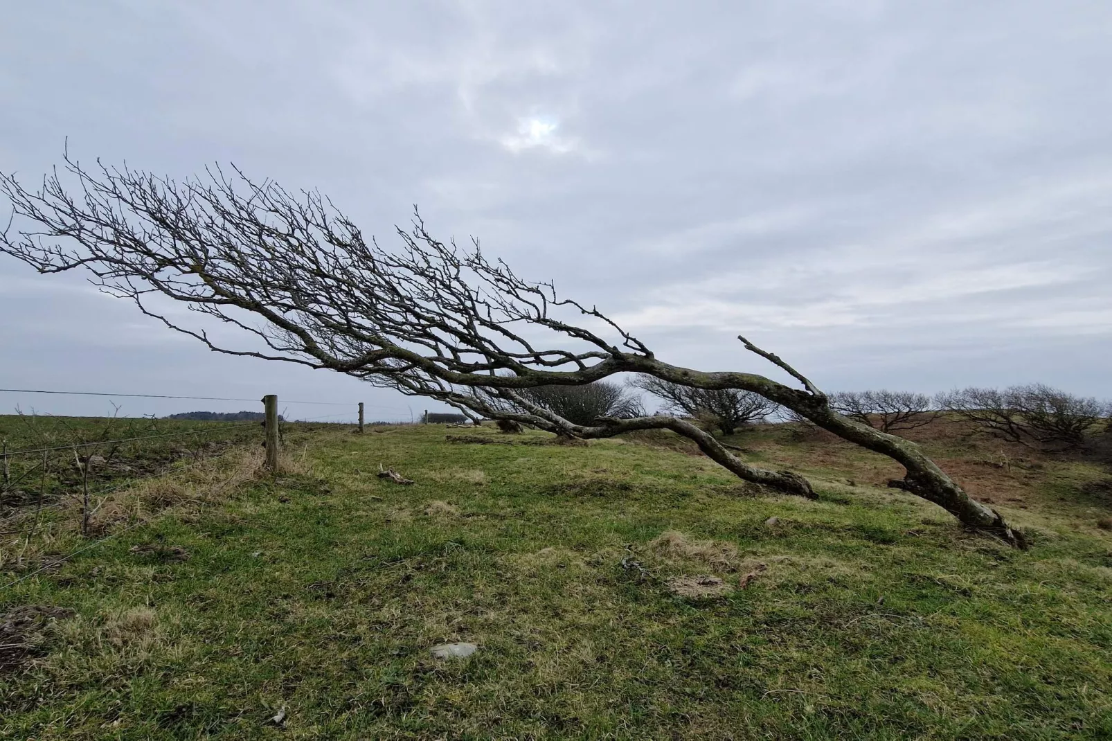 Maison de vacances pour 2 a Grenaa-Non tagué