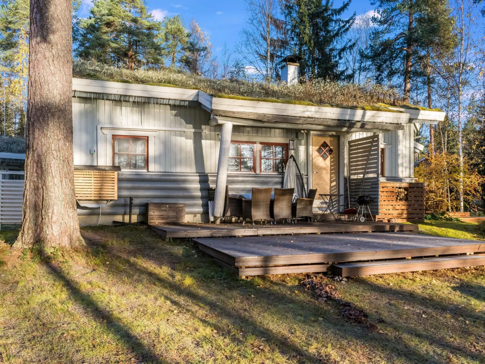 Kulta-käkönen 17 by bomba