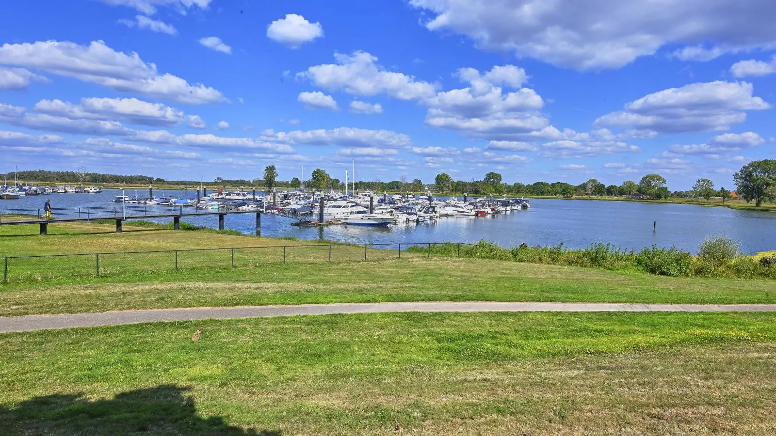 Aan de oever-Vue d'été