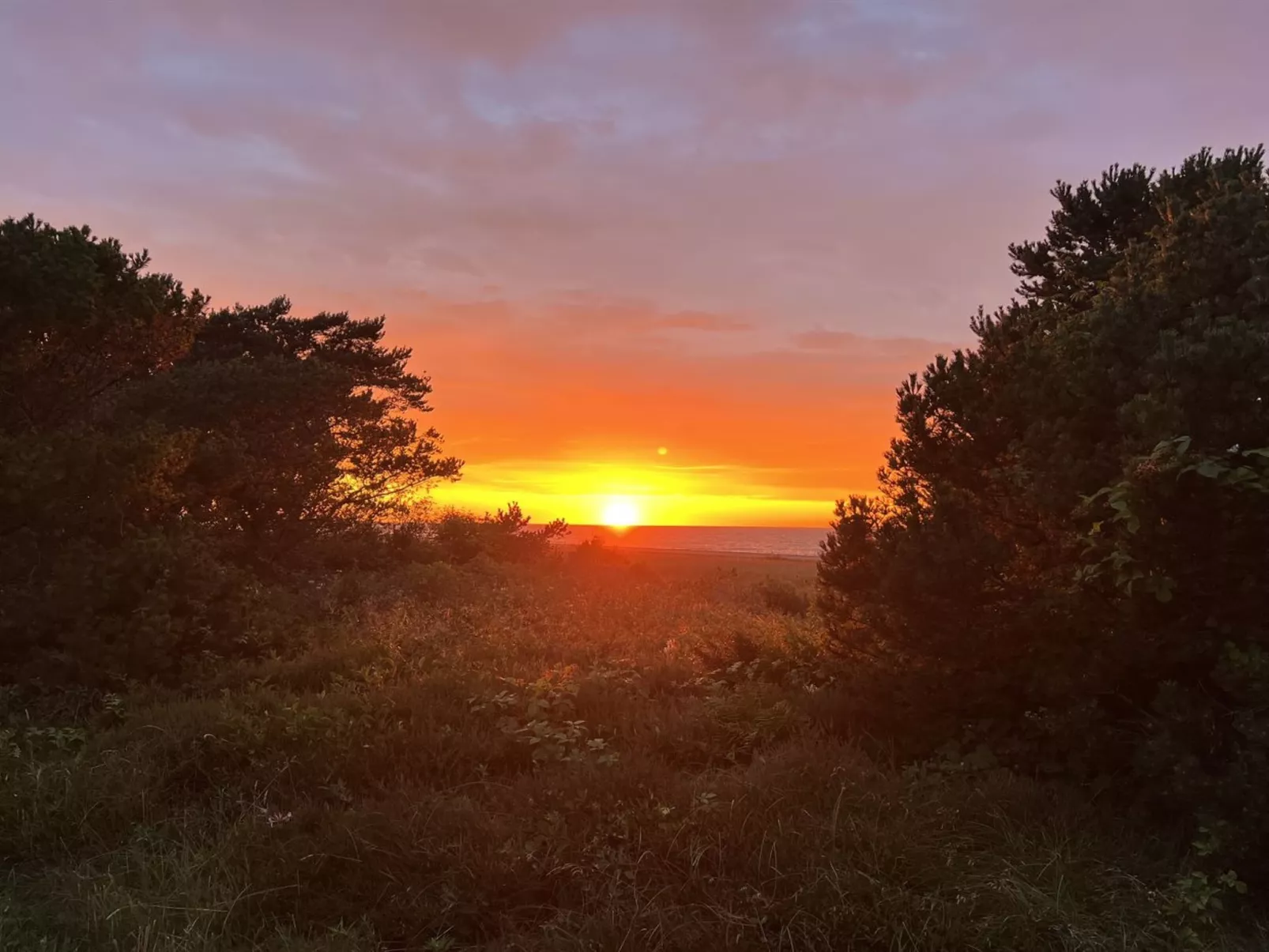 "Kaj" - 75m from the sea