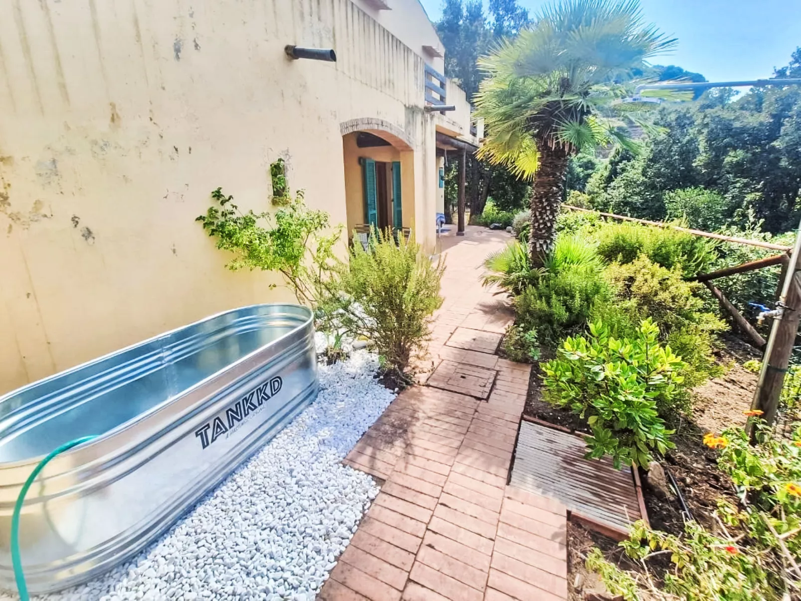 L'Aietta di Maciarello-Dehors