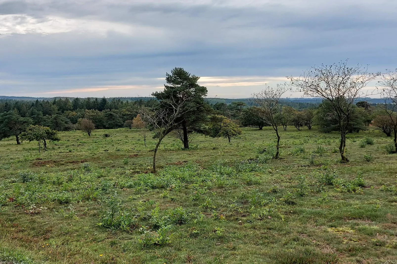 5 star holiday home in Farsø-Untagged